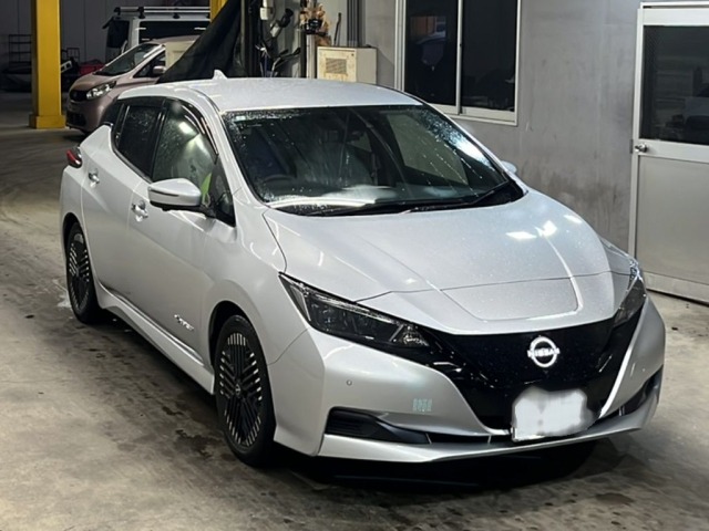 Nissan LEAF 2024 7841152-4