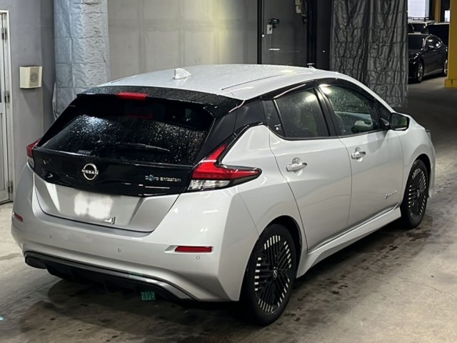 Nissan LEAF 2024 7841152-5