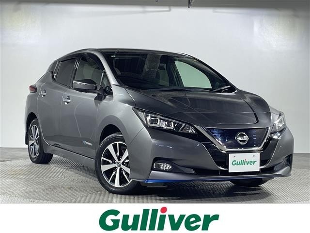 Nissan LEAF 2019 7841328-0
