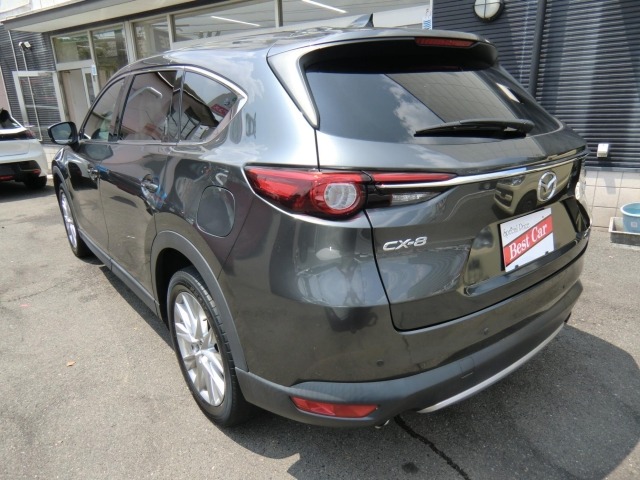 Mazda CX-8 2018 7849638-8