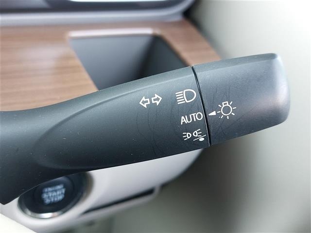 Suzuki LAPIN 2022 7856954-24