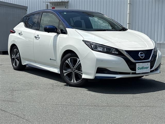 Nissan LEAF 2021 7851667-0