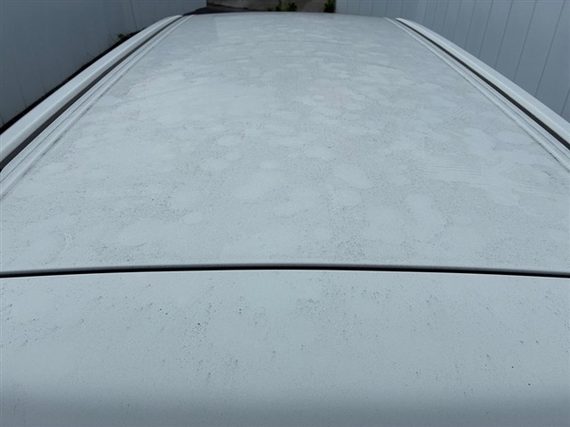 Toyota PROBOX VAN 2019 7881756-10