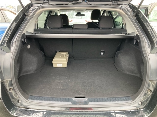 Toyota COROLLA FIELDER 2019 7900653-8