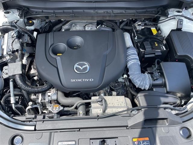 Mazda CX-8 2021 7899007-14