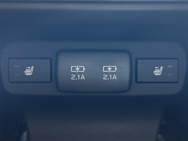 Subaru LEVORG 2021 7892966-9