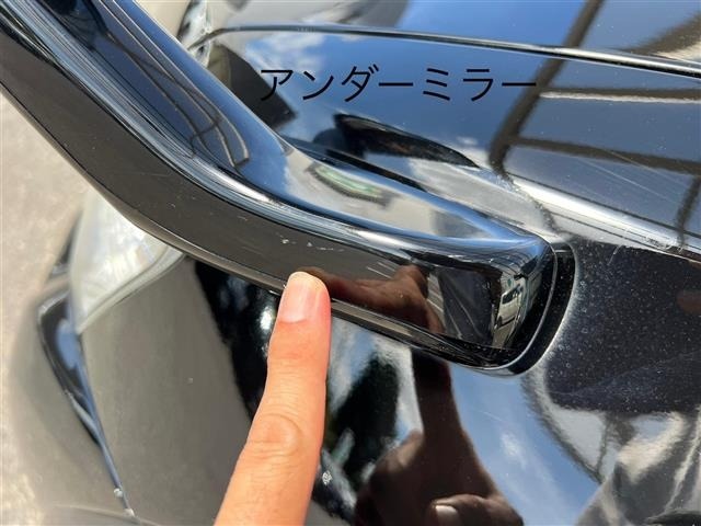 Mitsubishi PAJERO 2015 7906187-18