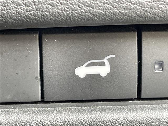 Nissan X-TRAIL 2022 7891074-3
