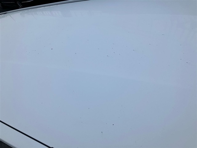 Nissan AD VAN 2021 7922686-11