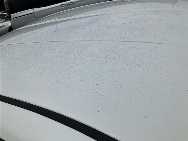 Toyota COROLLA AXIO 2015 7909128-10