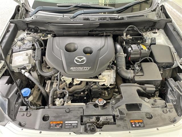 Mazda CX-3 2015 7926010-14