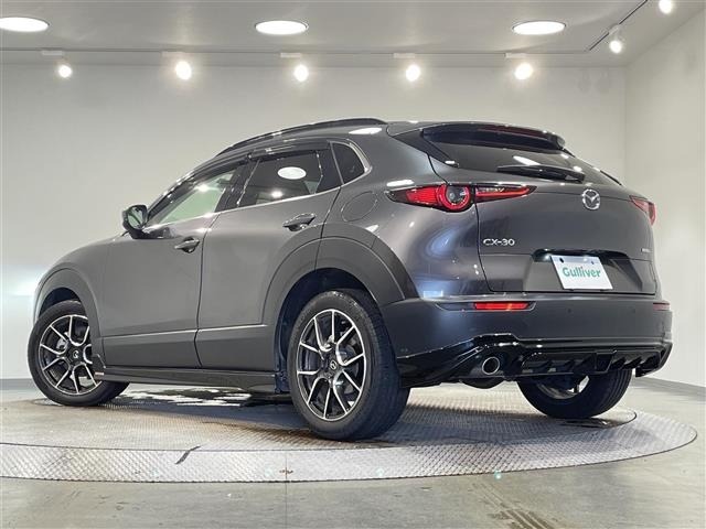 Mazda CX-30 2021 7908284-14
