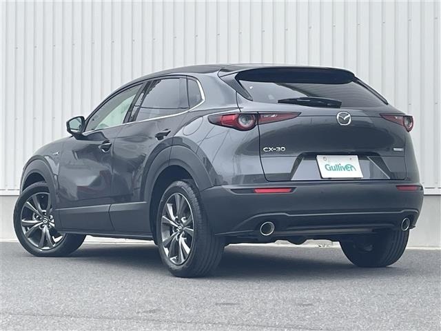 Mazda CX-30 2022 7908304-13
