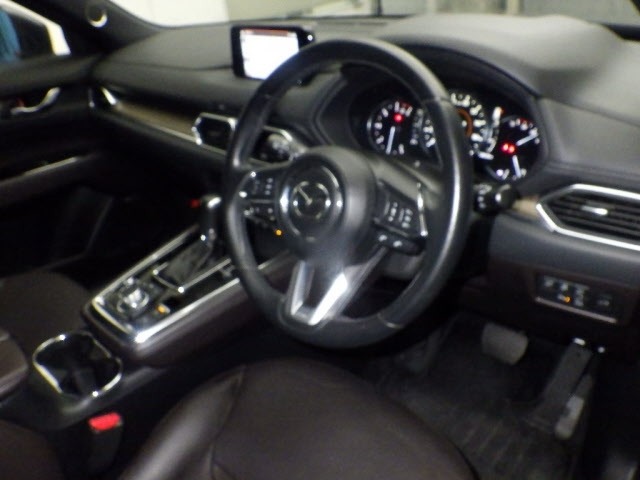 Mazda CX-8 2019 7924976-3