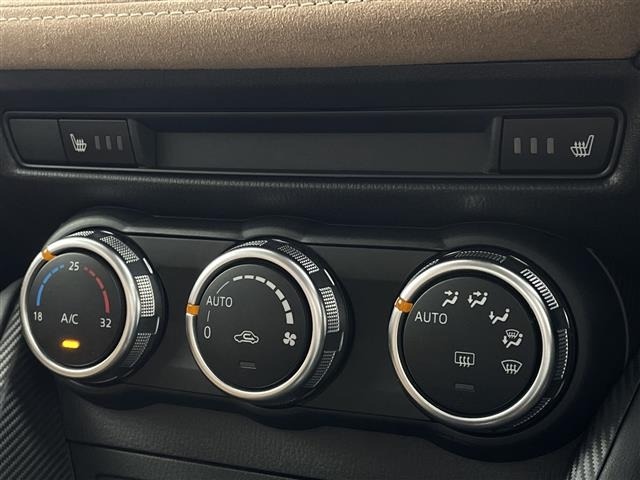 Mazda DEMIO 2017 7921380-10