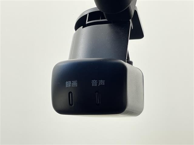 Nissan ELGRAND 2022 7921912-1