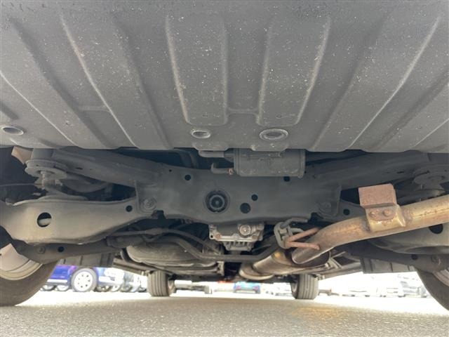 Nissan ELGRAND 2019 7921917-14