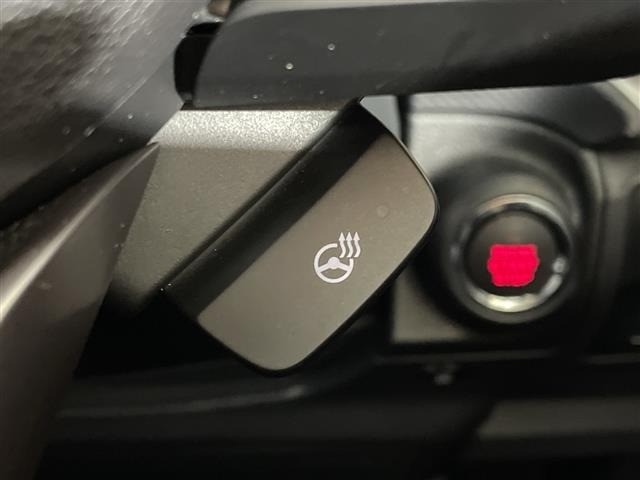 Subaru FORESTER 2021 7925700-19