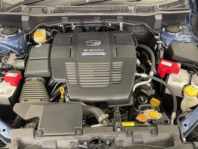 Subaru FORESTER 2019 7925747-14