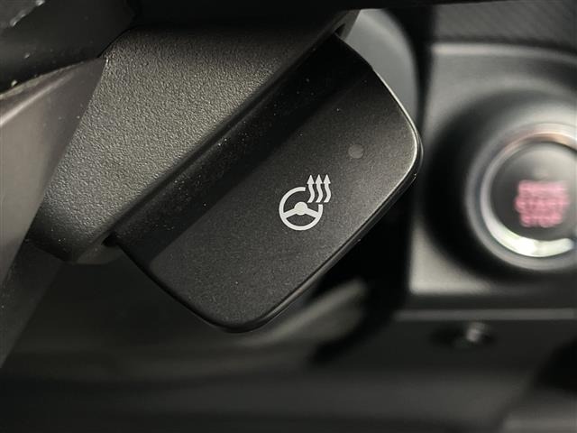 Subaru FORESTER 2019 7925747-22