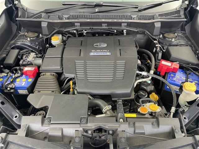Subaru FORESTER 2019 7925756-14