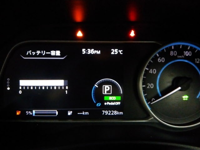 Nissan LEAF 2017 7924716-11