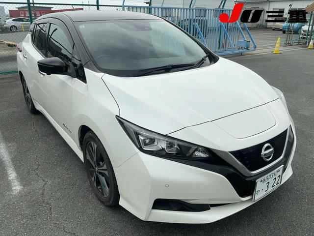 Nissan LEAF 2019 7924730-0