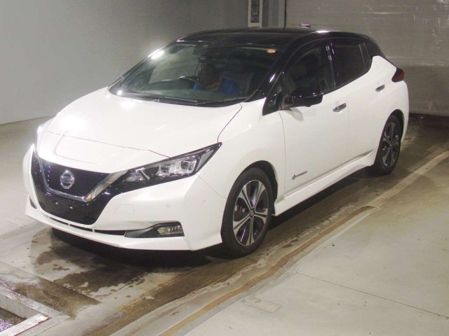 Nissan LEAF 2019 7924741-0