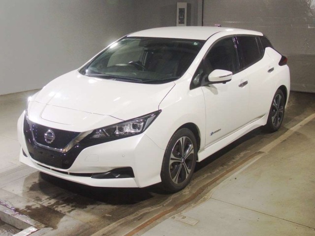 Nissan LEAF 2019 7924742-0
