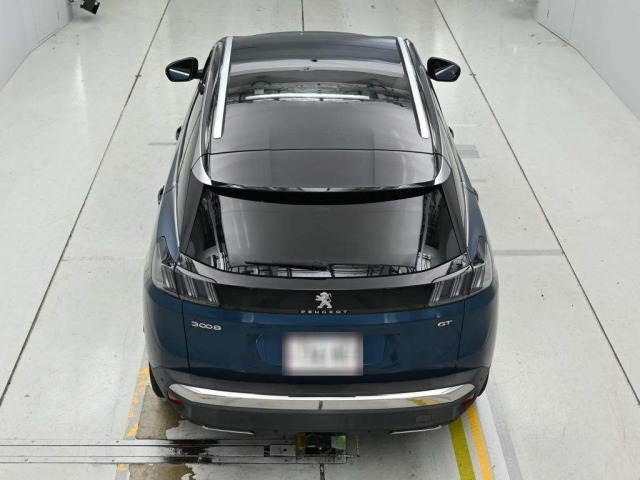 Peugeot 3008 2021 7945005-8