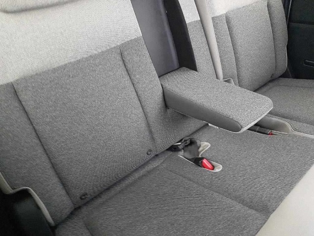 Honda FREED 2024 7930262-11