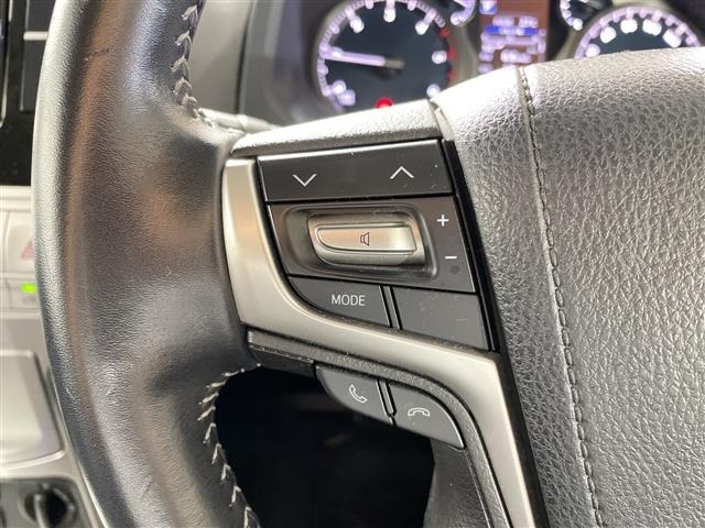 Toyota LAND CRUISER PRADO 2018 7929386-22
