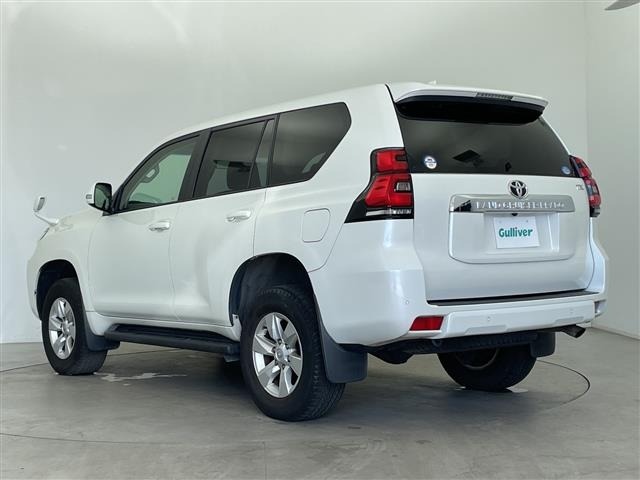 Toyota LAND CRUISER PRADO 2019 7929401-13