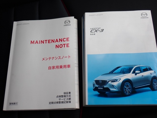 Mazda CX-3 2017 7959948-26