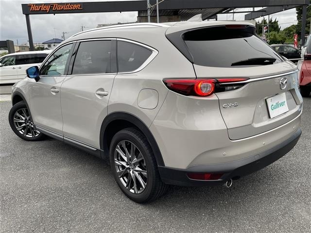 Mazda CX-8 2022 7954983-13