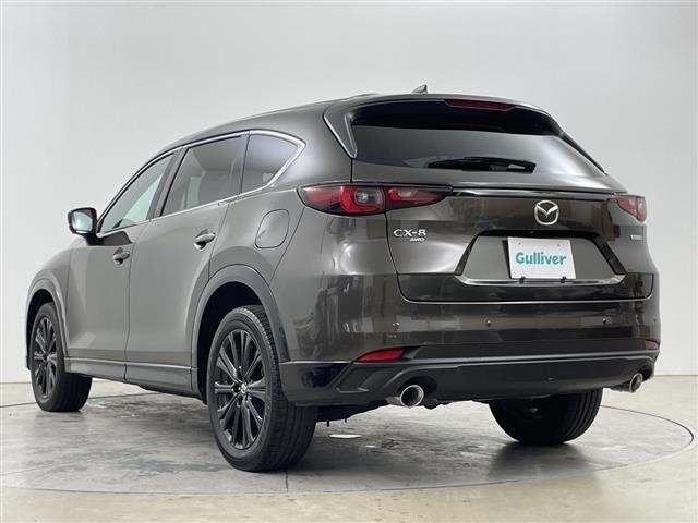 Mazda CX-8 2023 7954985-13