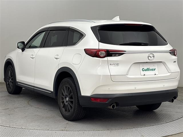 Mazda CX-8 2019 7954991-13