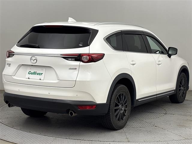 Mazda CX-8 2019 7954991-16