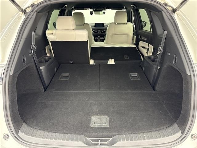 Mazda CX-8 2019 7954991-22