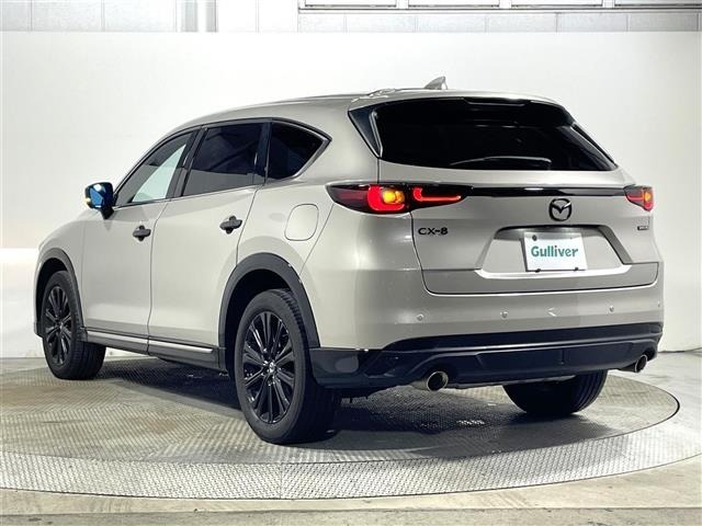 Mazda CX-8 2023 7955048-18