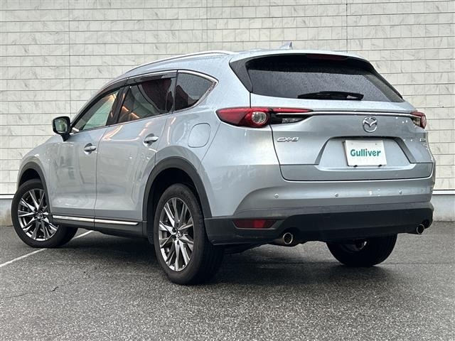 Mazda CX-8 2019 7955077-13