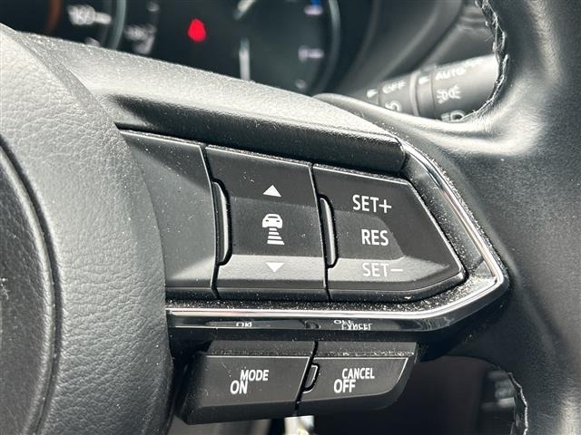 Mazda CX-8 2019 7955077-21