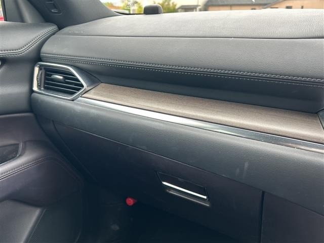 Mazda CX-8 2019 7955077-22