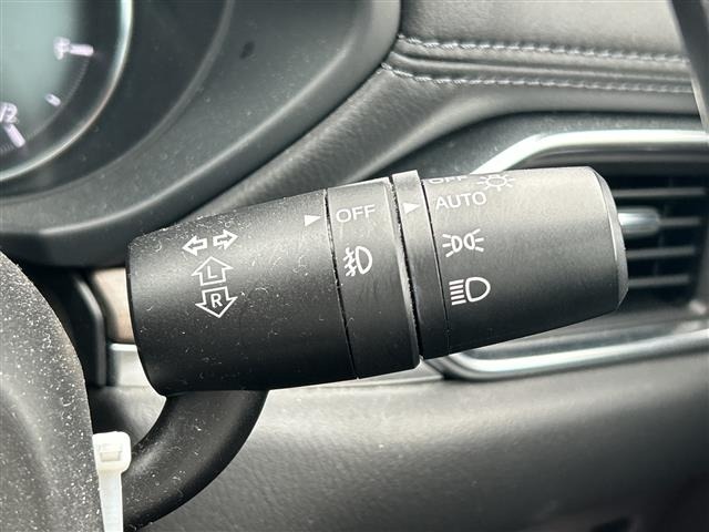 Mazda CX-8 2019 7955077-3