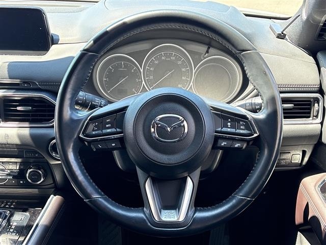 Mazda CX-8 2017 7955096-12