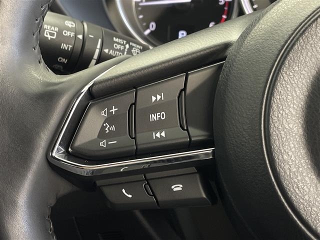 Mazda CX-8 2019 7955113-19