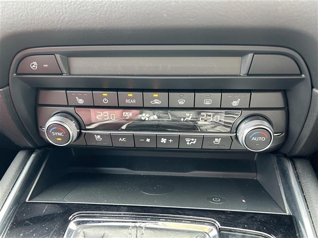 Mazda CX-8 2021 7955118-5