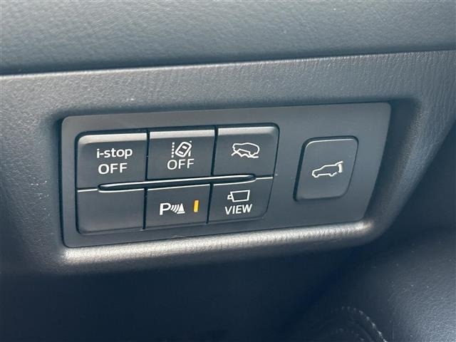 Mazda CX-8 2021 7955118-8