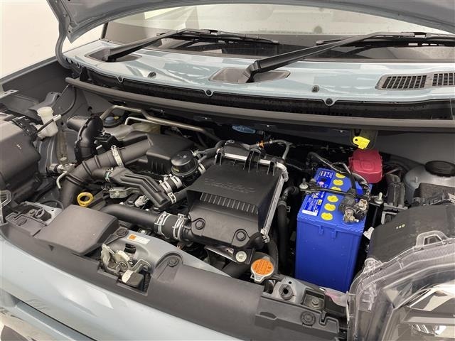Daihatsu TAFT 2020 7959503-14