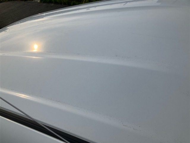 Suzuki ALTO 2021 7983213-11